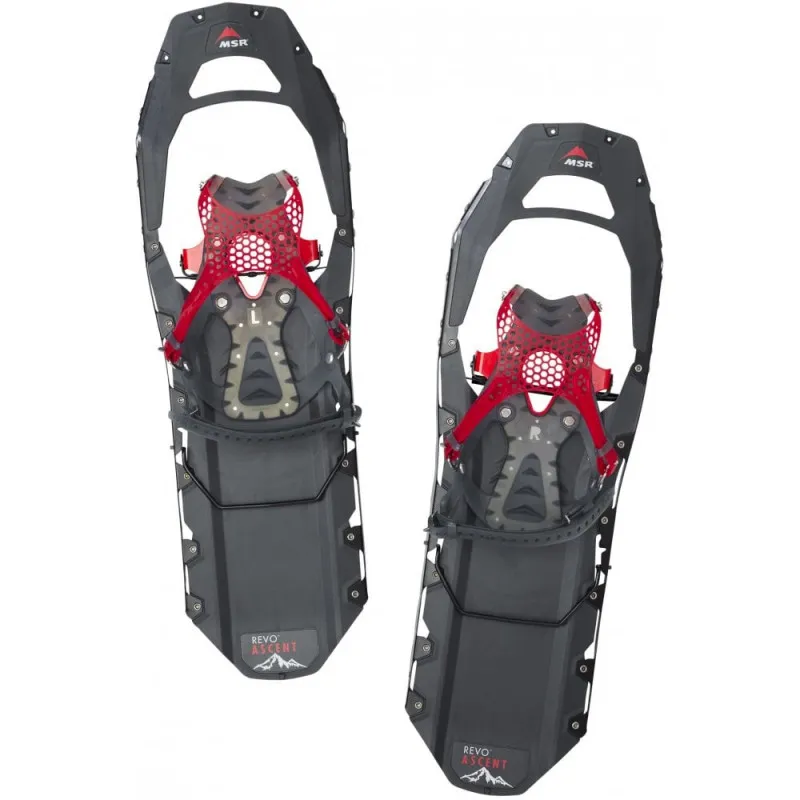 Zaino racchette da neve MSR Revo Ascent 25 (grigio) + bastoncini